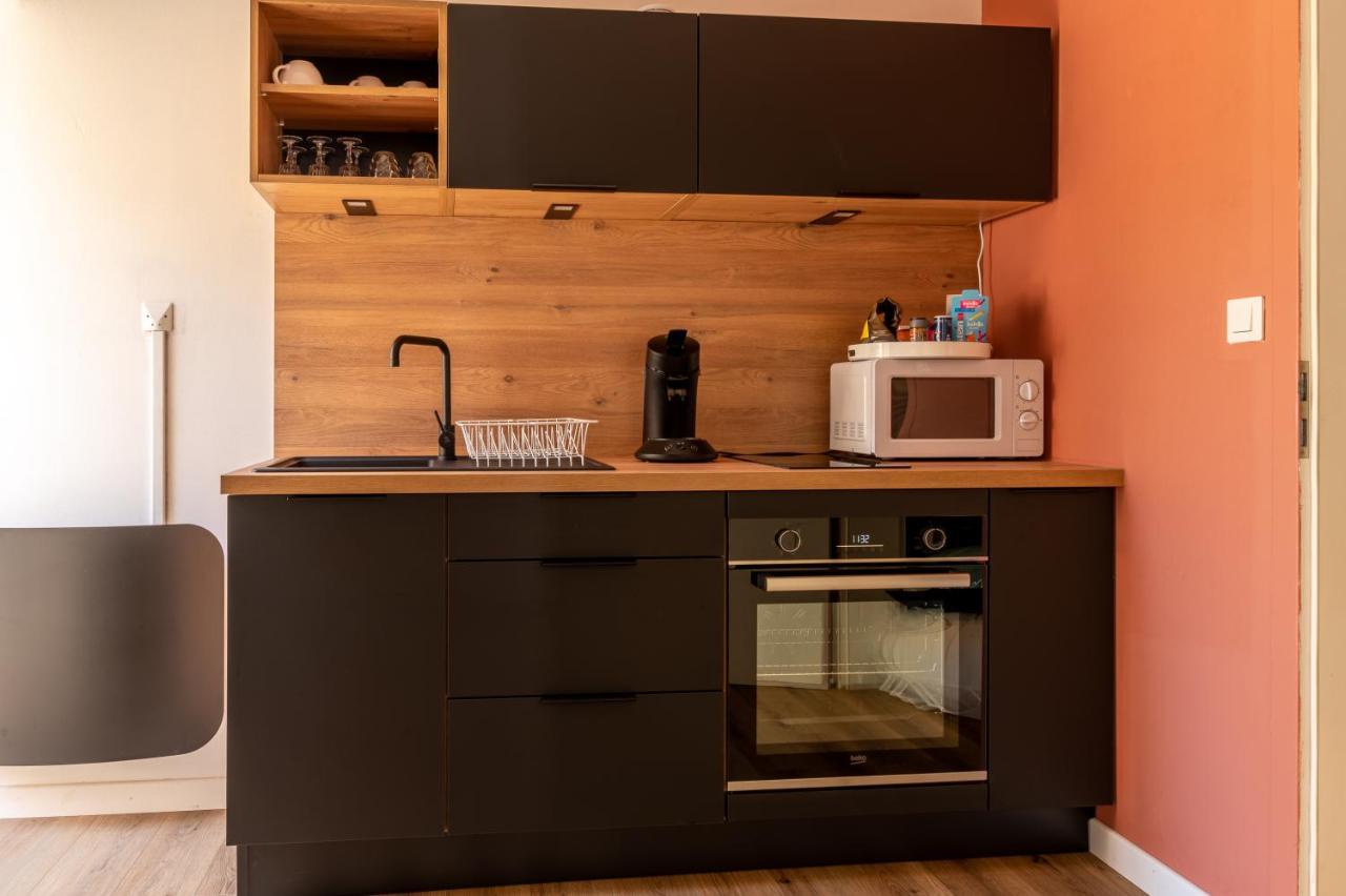 Appartement Cosy Avec Jardin Au Centre Historique De Selestat & Proche Europa-Park 외부 사진