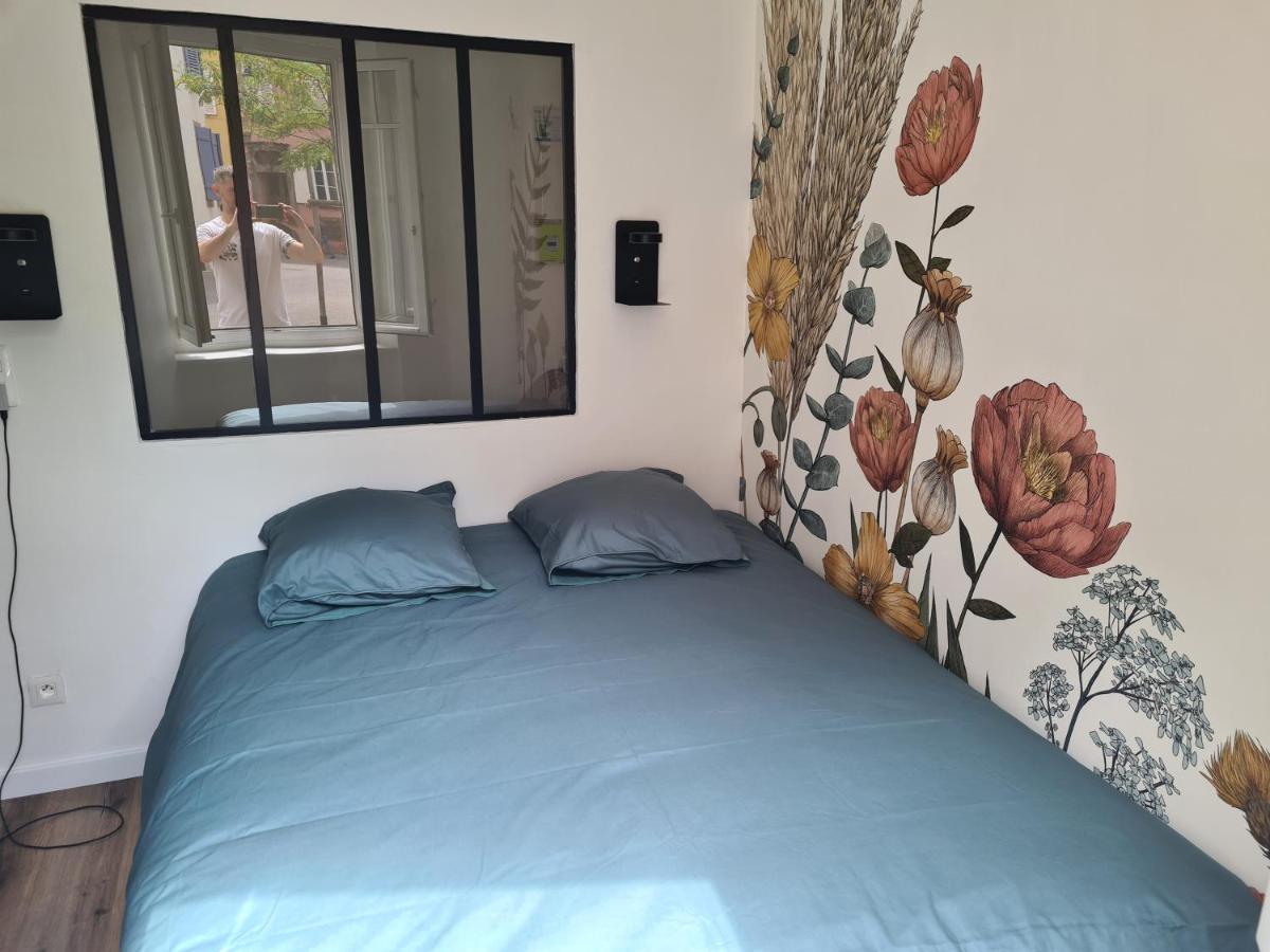 Appartement Cosy Avec Jardin Au Centre Historique De Selestat & Proche Europa-Park 외부 사진
